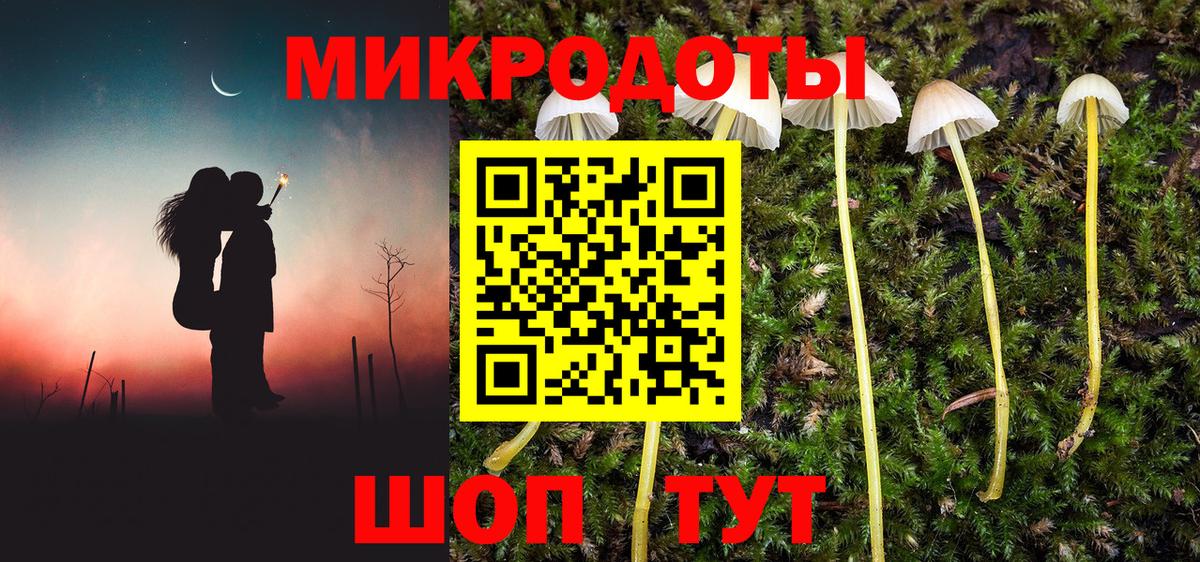 Псилоцибиновые грибы мухоморы Белорецк