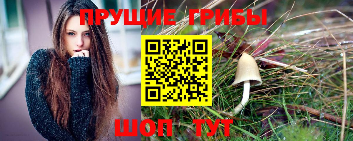 Галлюциногенные грибы MAGIC MUSHROOMS  Вход с VPN  Белорецк  Псилоцибиновые грибы Psilocybe 